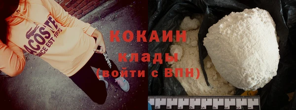 стаф Верея