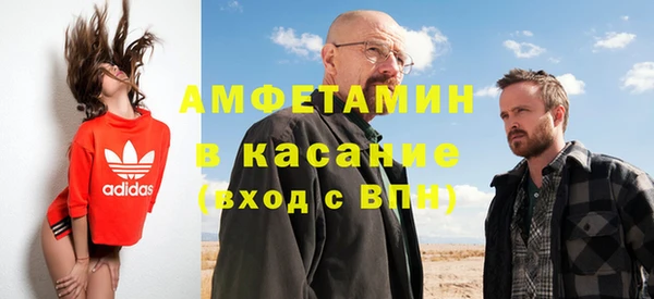 стаф Верея