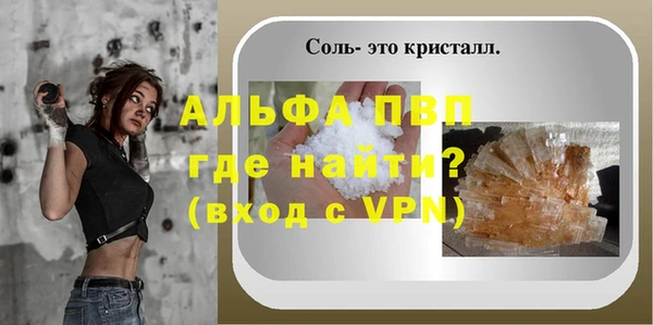 стаф Верея
