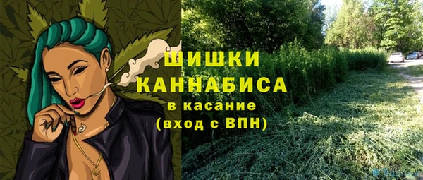 стаф Верея