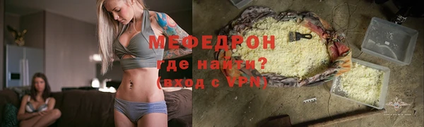 стаф Верея