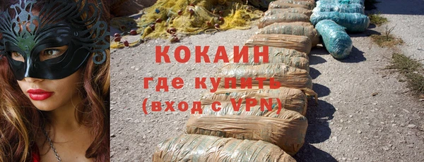 стаф Верея
