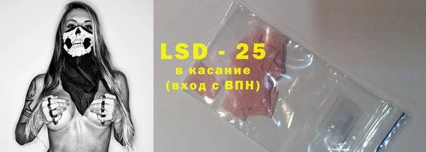 стаф Верея