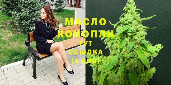 стаф Верея