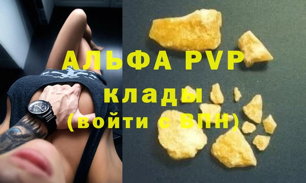 стаф Верея