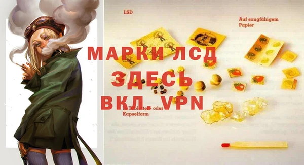 стаф Верея