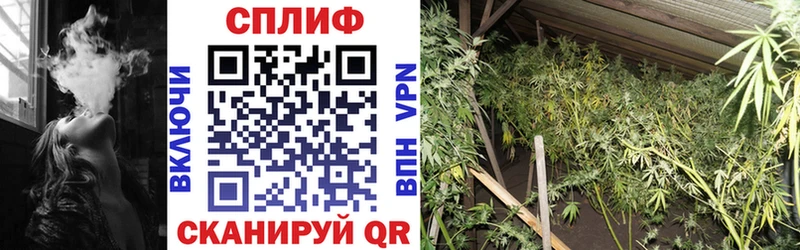 гидра ONION  Новая Усмань  МАРИХУАНА THC 21% 